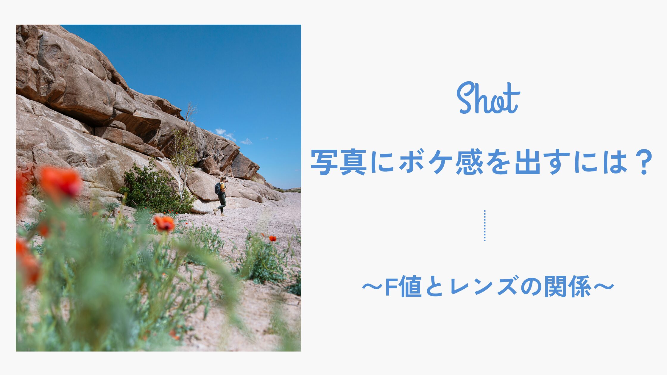 写真にボケ感を出すには？F値とレンズの関係をやさしく解説