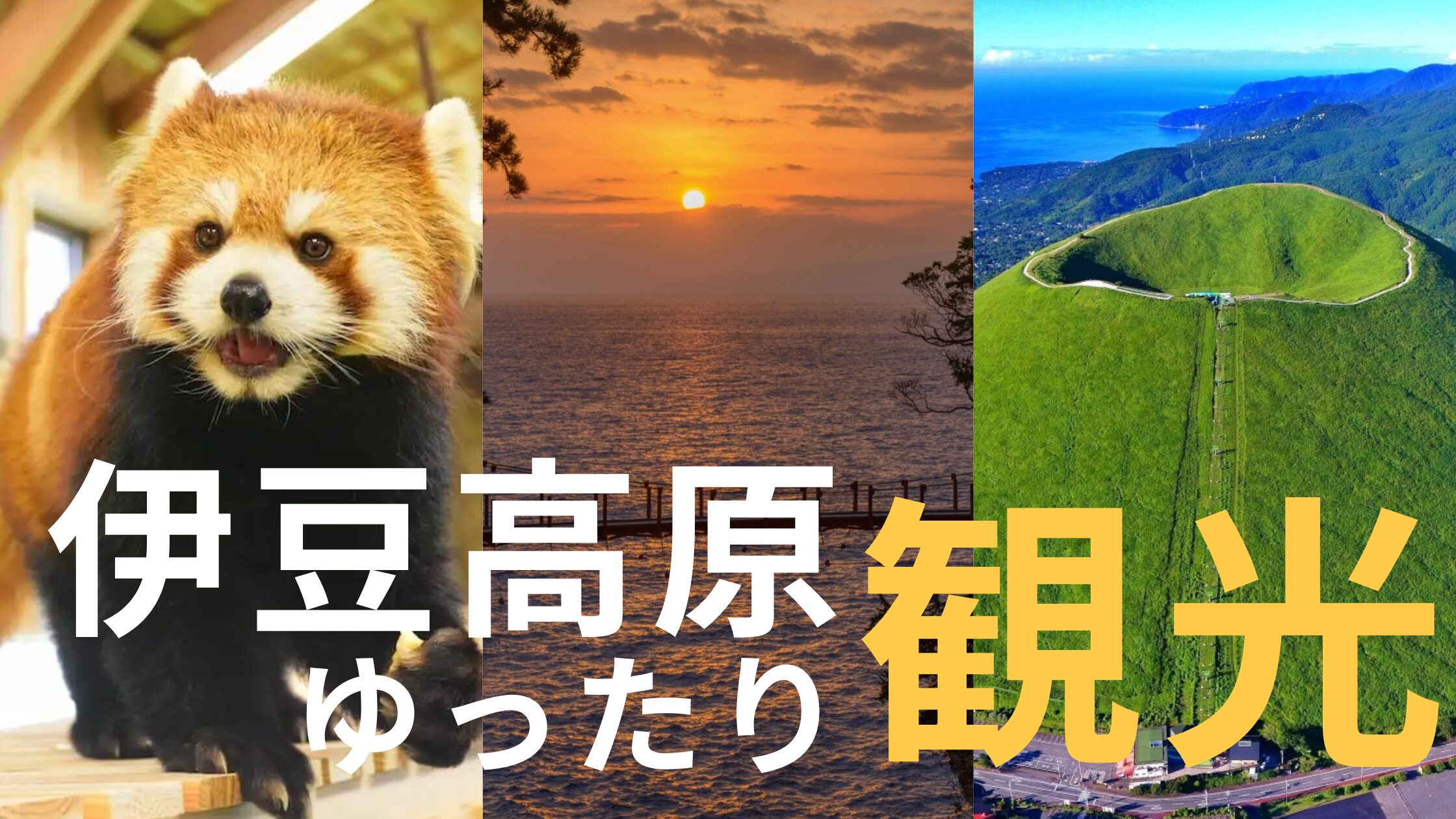 【詰めない伊豆旅2】伊豆高原ゆったり観光｜写真と自然を楽しむ1泊2日